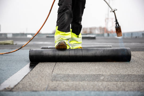Best Roof Ventilation Installation  in Ford Heights, IL