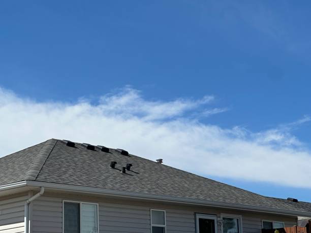 Best Tile Roofing Installation  in Ford Heights, IL